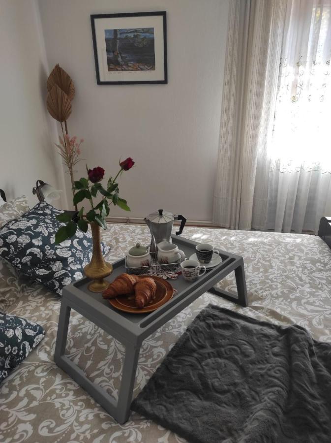 Apartmani Gruzdovo Delnice Eksteriør billede