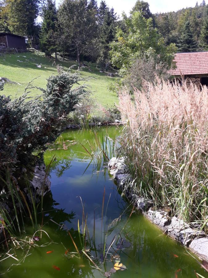 Apartmani Gruzdovo Delnice Eksteriør billede