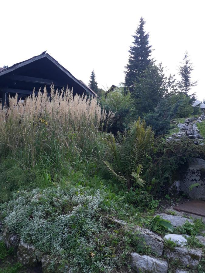 Apartmani Gruzdovo Delnice Eksteriør billede