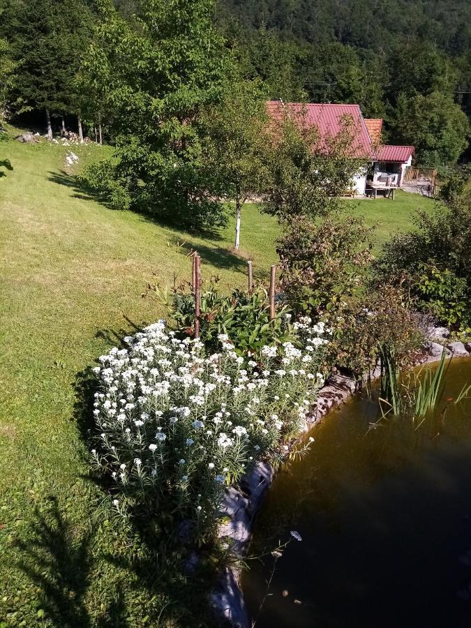 Apartmani Gruzdovo Delnice Eksteriør billede