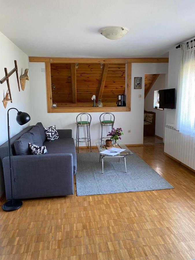 Apartmani Gruzdovo Delnice Eksteriør billede