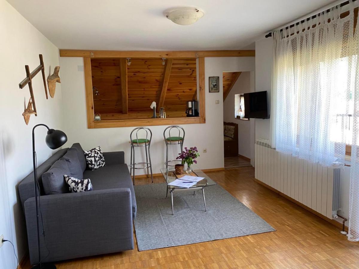 Apartmani Gruzdovo Delnice Eksteriør billede