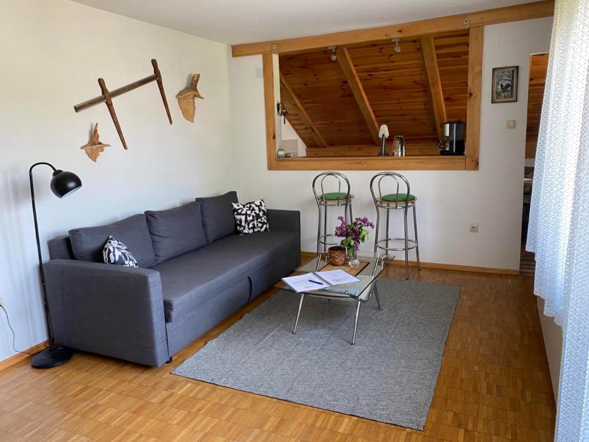 Apartmani Gruzdovo Delnice Eksteriør billede