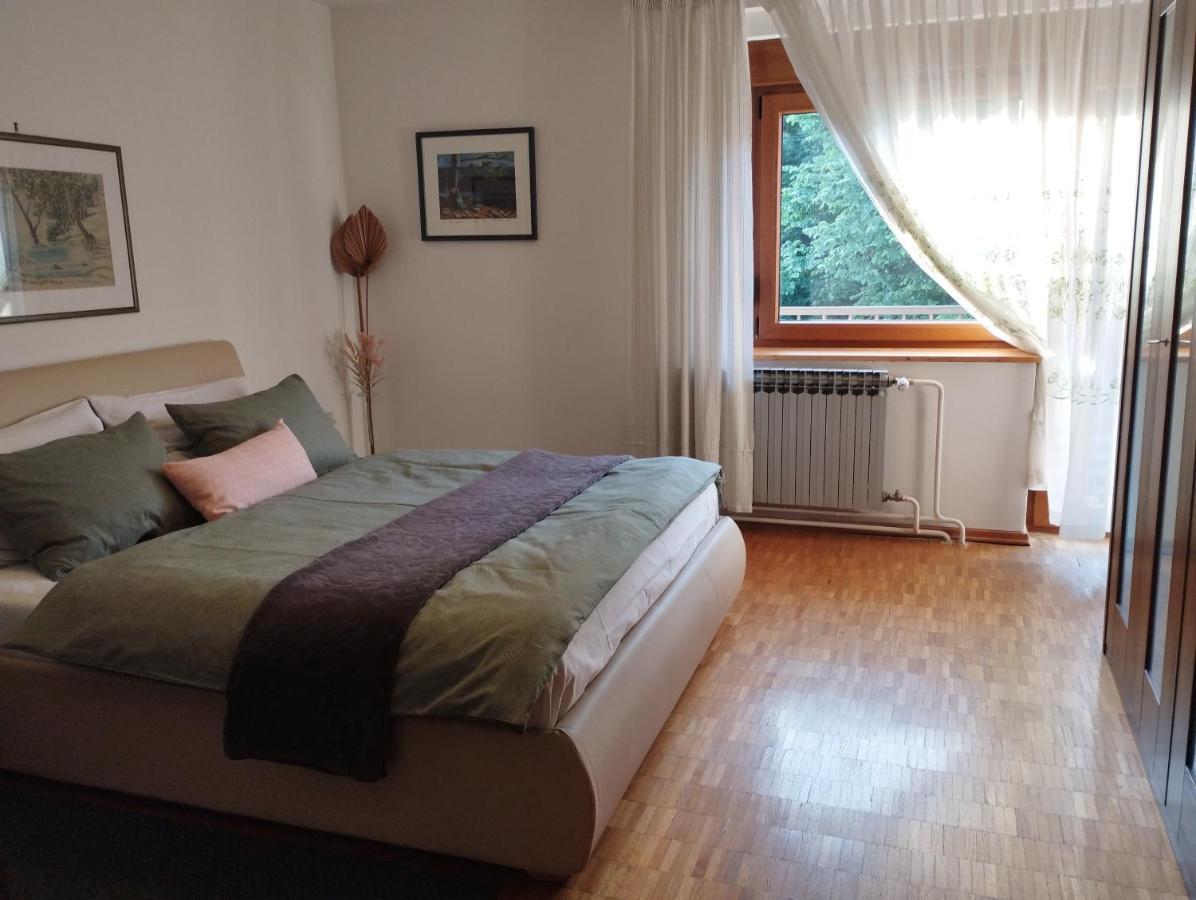 Apartmani Gruzdovo Delnice Eksteriør billede