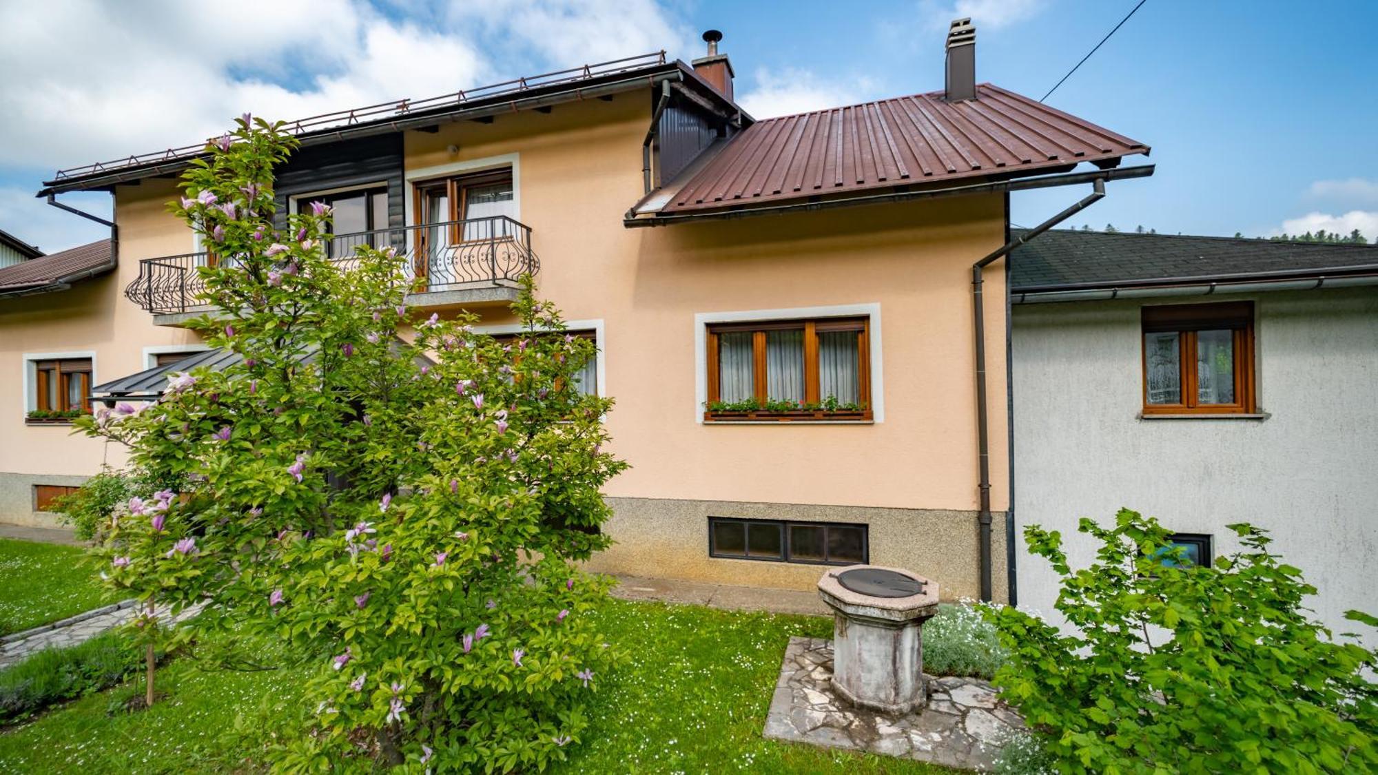Apartmani Gruzdovo Delnice Eksteriør billede